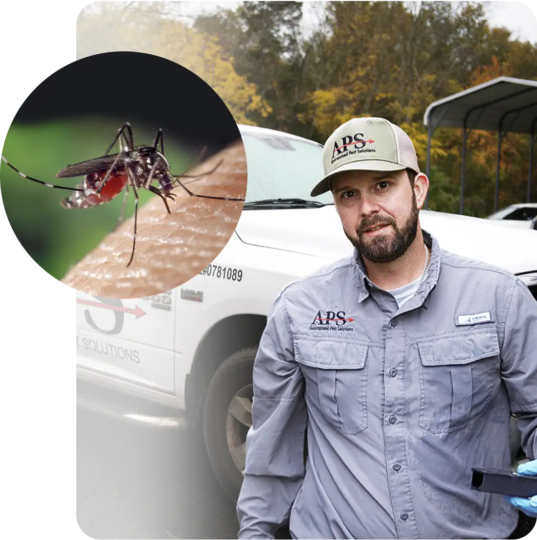 mosquito-control-img