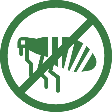 Flea control and elimination services for homes and yards in East Texas